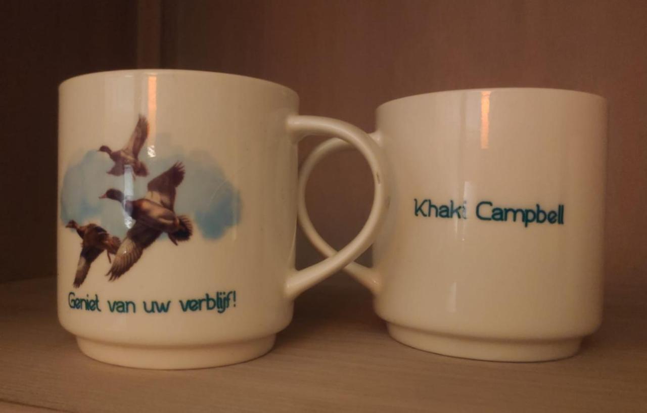 Khaki Campbell Vila Ermelo Exterior foto
