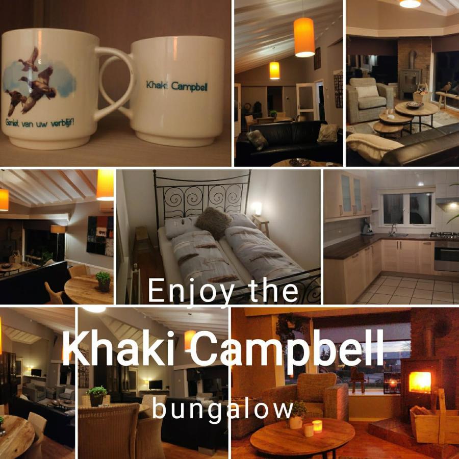 Khaki Campbell Vila Ermelo Exterior foto